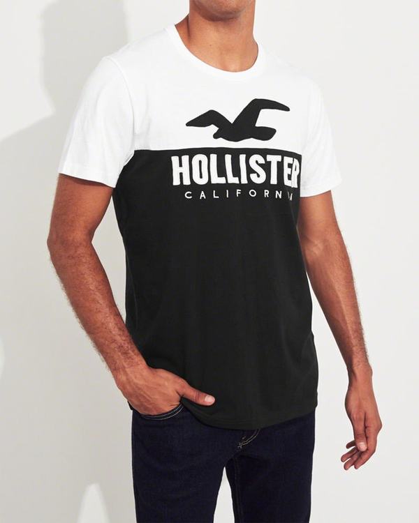 Magliette Hollister Uomo Colorblock Logo Bianche Nere Italia (171HADUN)
